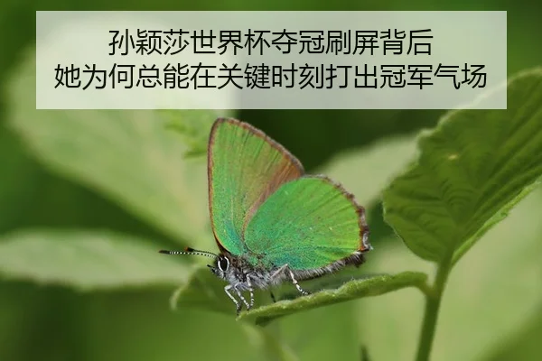 sun-ying-sha-shi-jie-bei-duo-guan-shua-ping-bei-hou-ta-wei-he-zong-neng-zai-guan-jian-shi-ke-da-chu-guan-jun-qi-chang-2-602.jpg