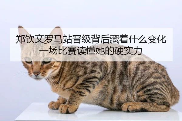 郑钦文罗马站晋级背后藏着什么变化 一场比赛读懂她的硬实力